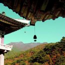 묘한향기 이미지