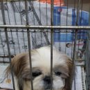 덴탈플러스 이미지