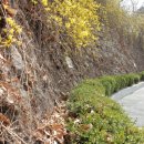 인헌초등학교 앞 이미지