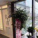 센스 넘치는 천호역 미용실 찾았어요 레오드헤어 리얼 후기 공유해요
