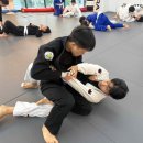 최강 명문체육관 이미지