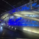 땅끝해양자연사박물관 이미지