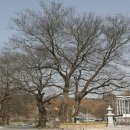 담양수퍼 이미지