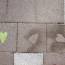 SK해사랑어린이집 이미지