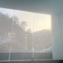 브루조아 | 강촌 브루조아 글램핑 온수풀 109호 후기!