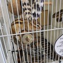 수달앤쥬 이미지