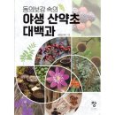 산약초 동의보감 이미지
