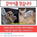 구월4동-9 이미지