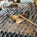 금강민물장어 이미지