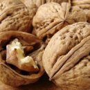 기나키친 이미지