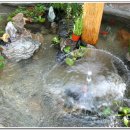 한국불교대학관음사 이미지