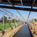 덕이1 태양광발전소 이미지