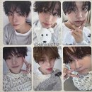 스테디(Steady) 이미지