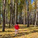 통일전 주차장 화장실 | 쌍둥이 육아일기 경주 도리마을 통일전 20251114