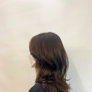 헤어뮤즈 이미지