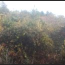 중문동-14 이미지