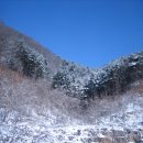 H7402 Daum카페