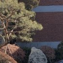 [태교여행] 대한항공 인천발 파리행 프레스티지석 초기 임산부 탑승 후기