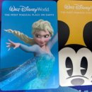 (주)스튜디오애니멀 | 2026년 1월 미국 다섯째날 (디즈니월드 애니멀킹덤)