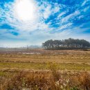 대산면공설운동장 이미지