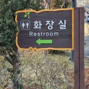 신양천 | [예산 여행] 예당호출렁다리(탁 트인 저수지를 감상하며 산책하기 좋은 곳)