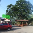 산청 조례산, 오대주산, 힌덤산, 두방산, 비룡산