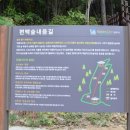 손민국 이미지