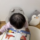 여우야문구 이미지