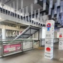 청주-오사카(간사이공항) 에어로케이 RF318, RF311 탑승후기 ( 청주공항 / 간사이공항 푸드코트 )