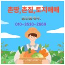 김인수공인중개사사무소 이미지