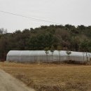 홍천부동산공인중개사사무소 이미지