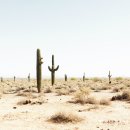 서있는 사람 이미지