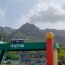 새실오브앰비언스 | 목포 근교 영암카페 추천 - 새실오브앰비언스