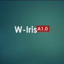 W-Iris [Class-A,B] 문서( 특허 명세서 등 ) 작성 도우미 / 새로운 맞춤법 검사 프로그램( MS-Word 용 이미지