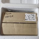 💚콩콩디저트연구소 고급스러운 맛 에그타르트와 푸딩 배송💚