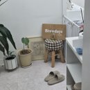 브로우데이즈