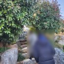 덕기농장 이미지