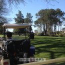 황금빛 민박 이미지