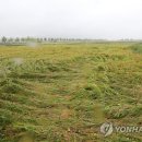 오동동122 이미지