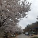 제천 청풍호 관광권 대규모 토지 매매 약 1만 500평형, 도로 접한 생산관리지역 이미지