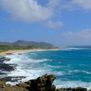 와이키키 이미지