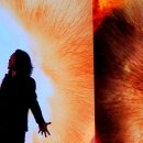 가온스테이지 이미지