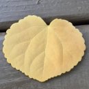 중리서로 이미지