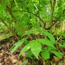 우석농장 이미지