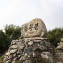 완도읍-11 이미지