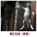 홍팡 이미지