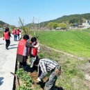 진주 판문천 경남연합일보