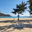 상주은모래비치캠핑장 이미지