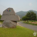 고산자연휴양림 Daum카페