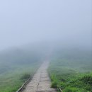 ■산야맛추천27호점■☆지리산종주 후 중산리 살아보기☆ (2026년 3월 8일)/전국 살아보며 직접체험하고 선정한 주변 명소 이미지